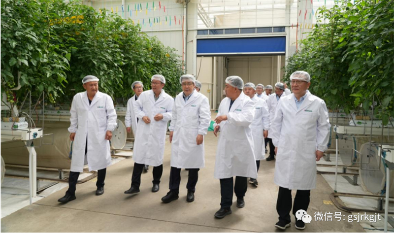 大興調研 | 雷鐵一行赴張掖、金昌、武威調研