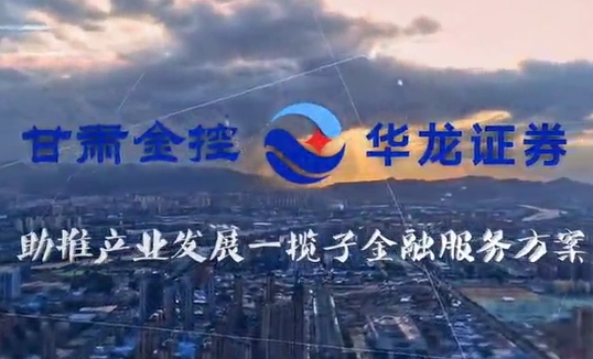 甘肅金控集團(tuán)助推產(chǎn)業(yè)發(fā)展一攬子金融服務(wù)方案匯報片